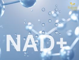 pic-image-refresh-nad+